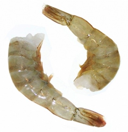 Krevety Vannamei 13/15 bez hlavy syrové nevyloup. neočištěné1kg