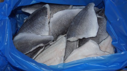 Pražma královská filet s kůží, 120-160g mraž.